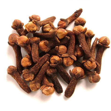 gloves seed in tagalog